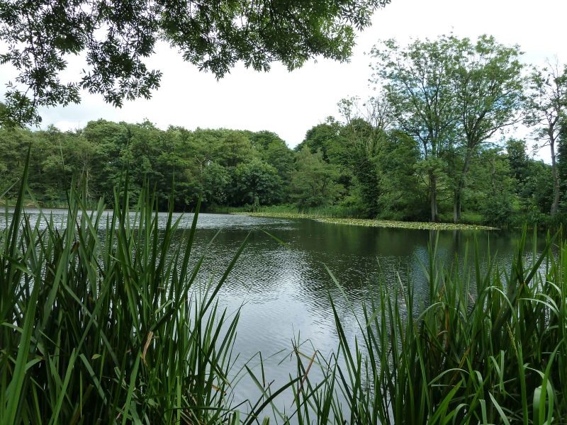 renishaw hall derbyshire.jpg
